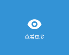 查看更多